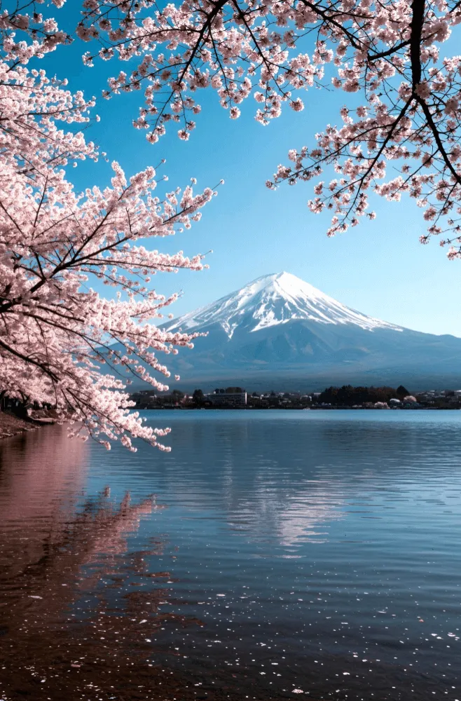 Reliable Japanese Project Management